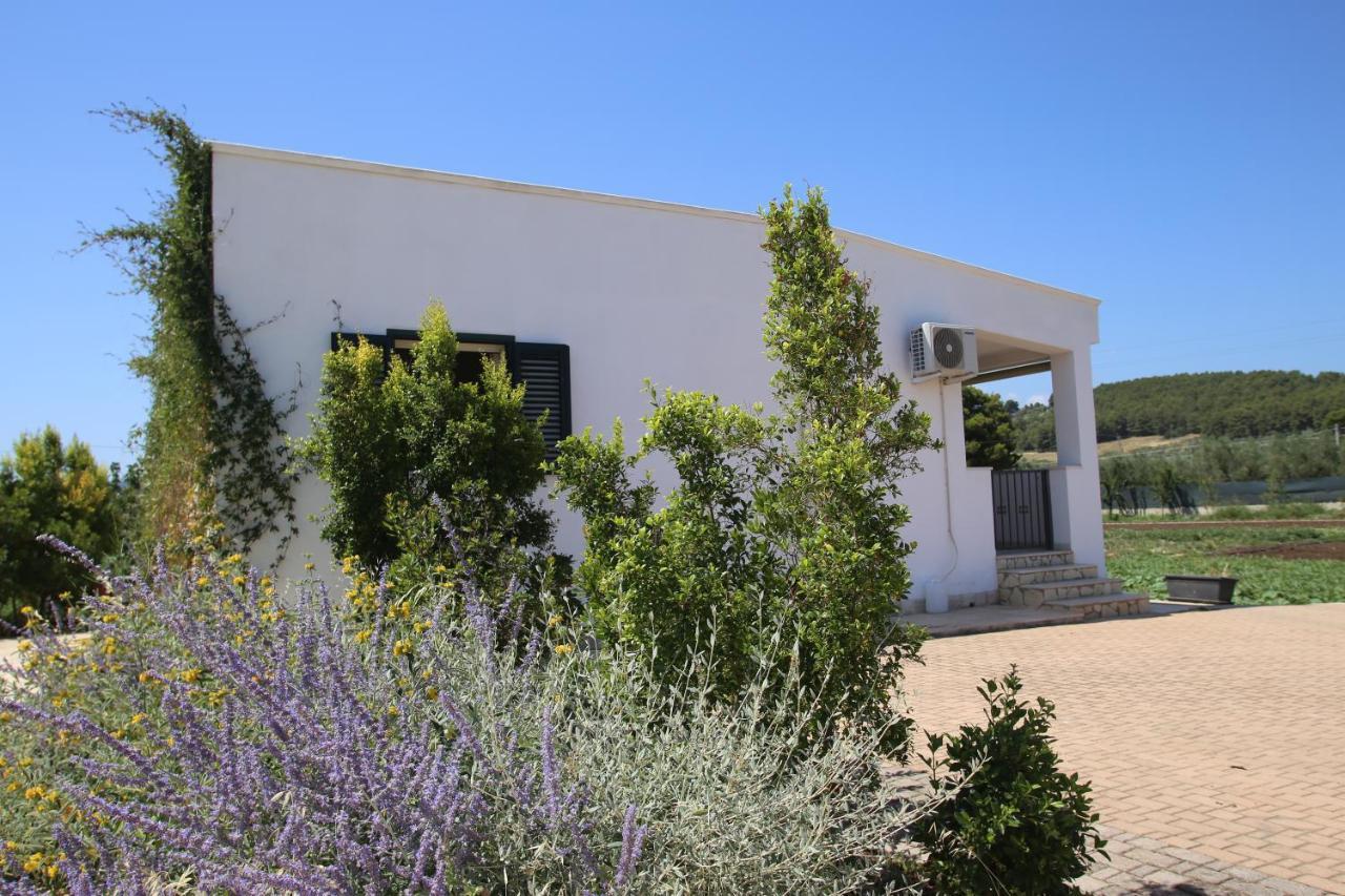 Annaluce Apartments Βιέστε Εξωτερικό φωτογραφία