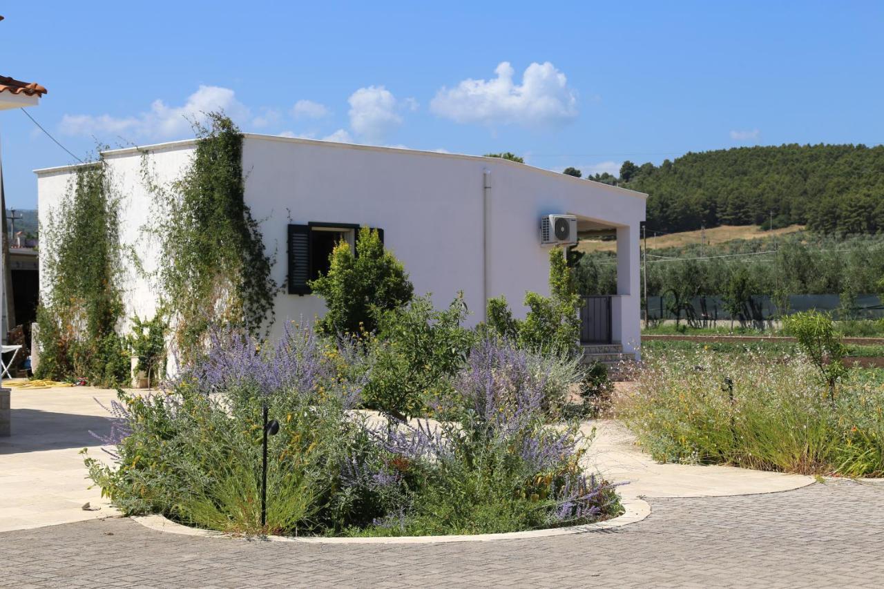 Annaluce Apartments Βιέστε Εξωτερικό φωτογραφία